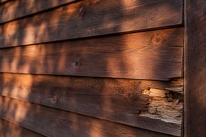 Damaged Cedar Siding Section
