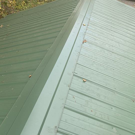 Izzy Roof