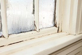 Stop Throwing Away Money with Old Windows